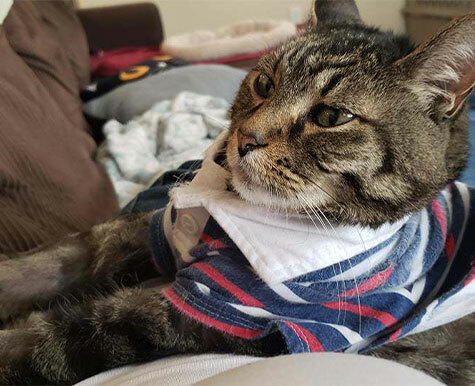 Breathing Support For Manny