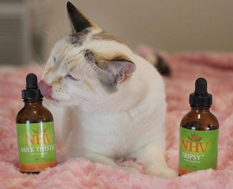 Audrey with kidney disease