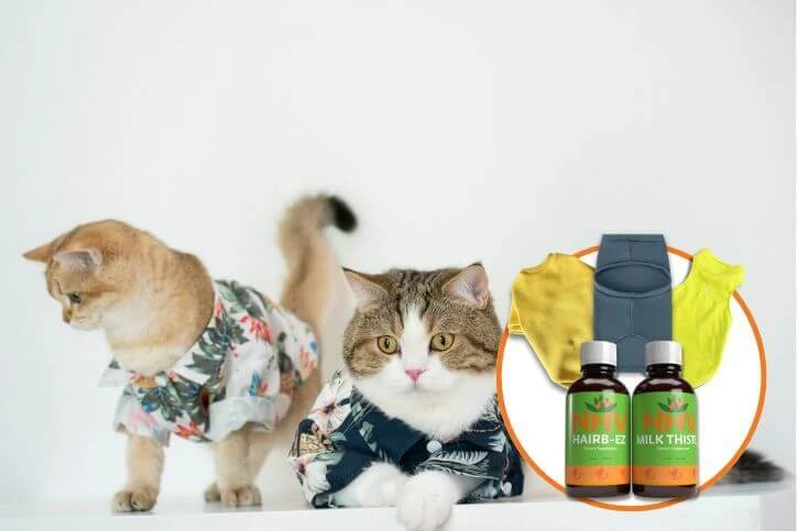 NHV Kitty Favourites