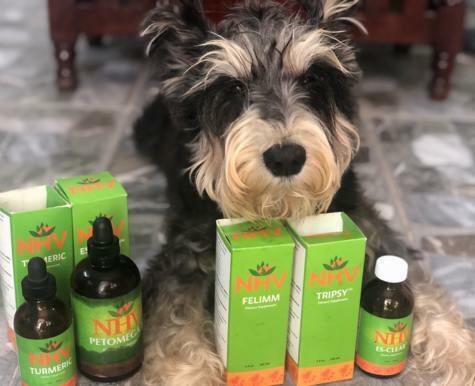 Managing Cancer in Dogs