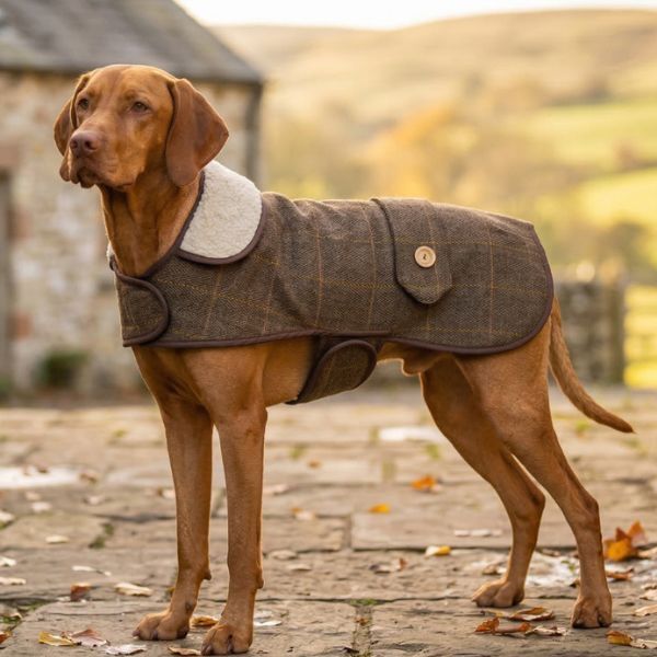 Earthbound Tweed Sherpa Dog Coat