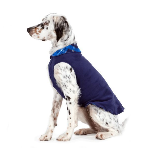 dog wearing double fleece