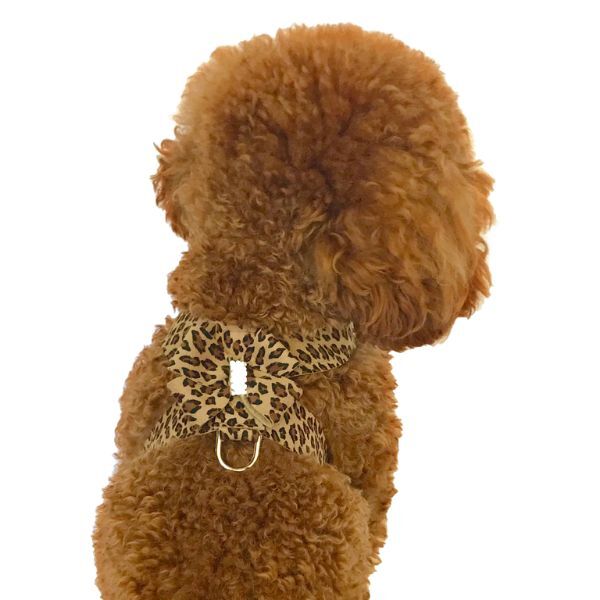 Bow Harness by Dog Squad