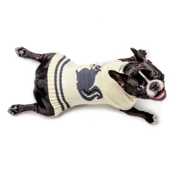 dog wearing a squirrel sweater