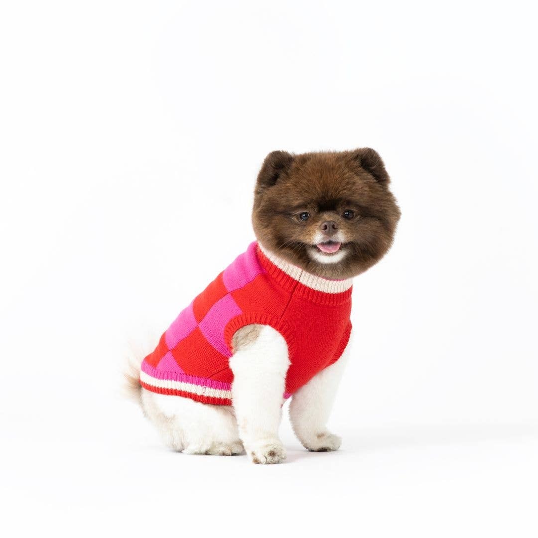 cute dog wearing fabdog sweater