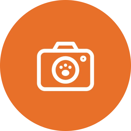 Pro Photos & Photo Zone