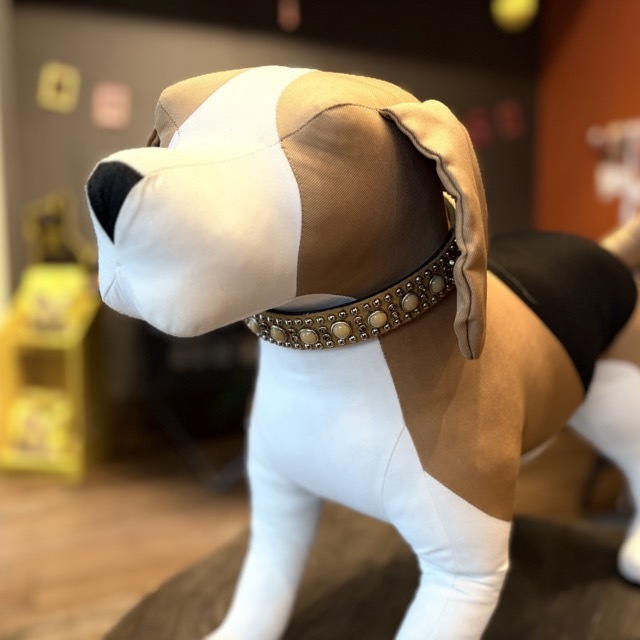 rn design dog collar in friz latte
