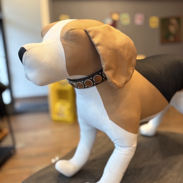 RN Design Dog Collar with pennies