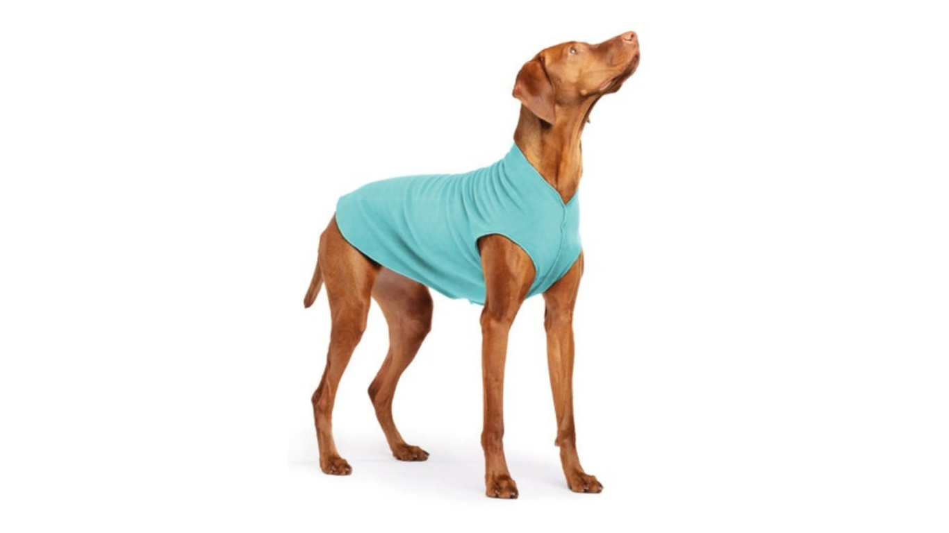 Dog Wearing Goldpaw Fleece
