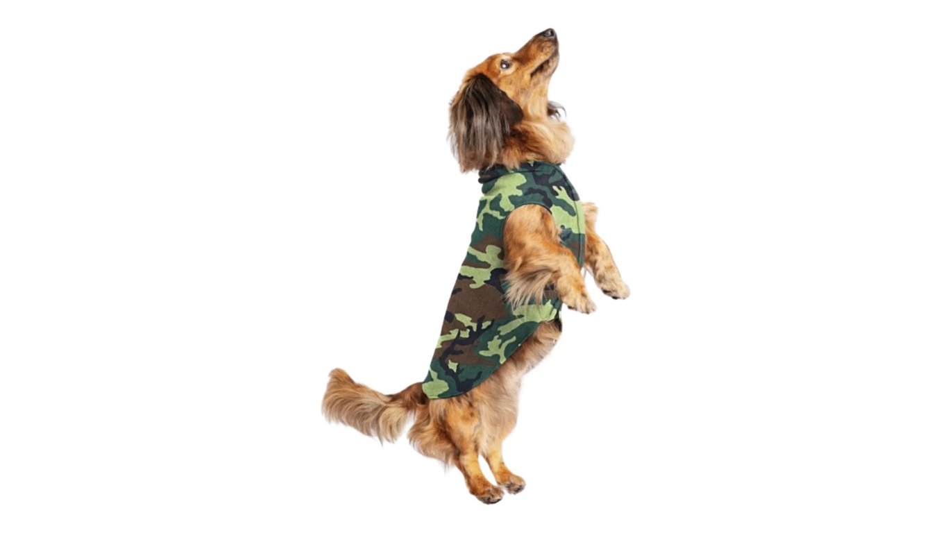 Goldpaw Stretch Dog Fleece