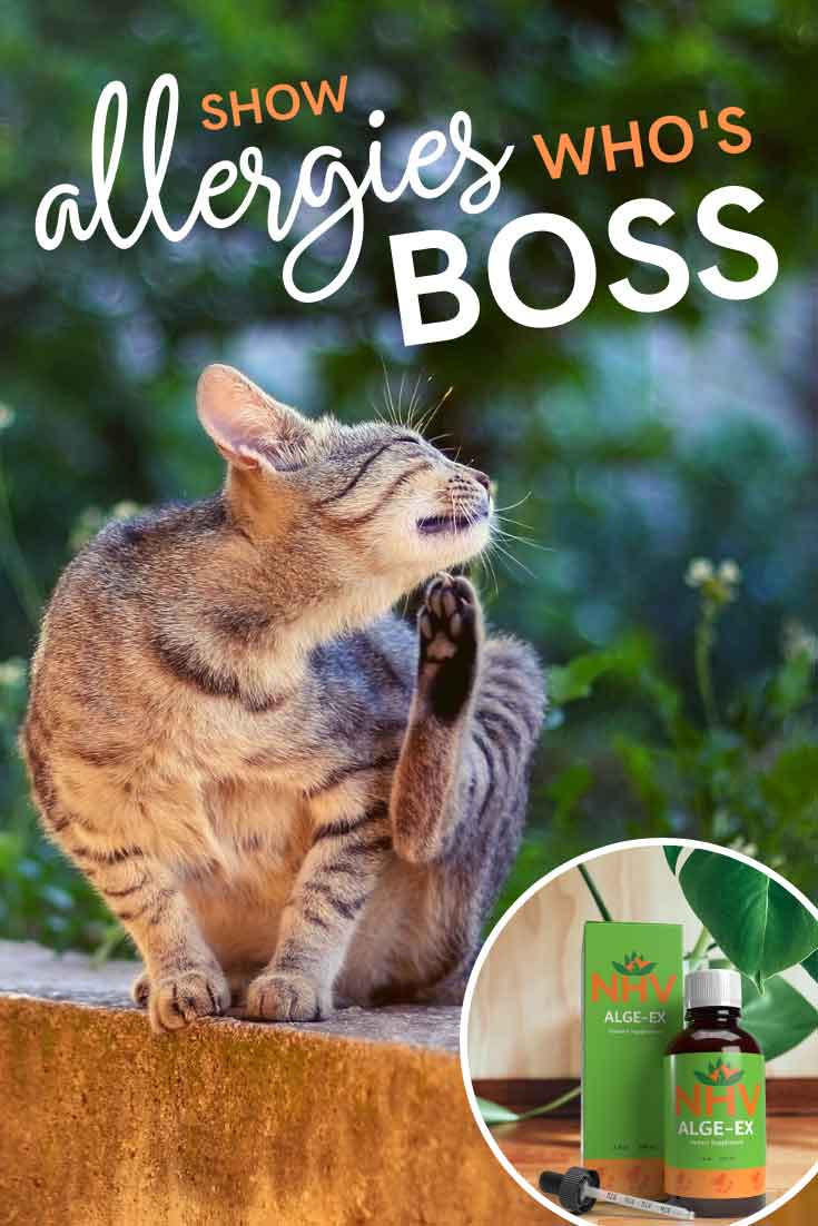Alge-Ex for cats