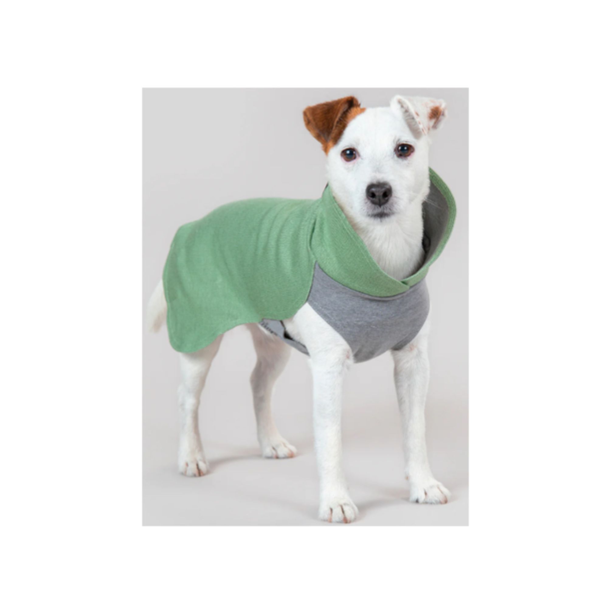 Paikka - Recovery Winter Coat for Dogs
