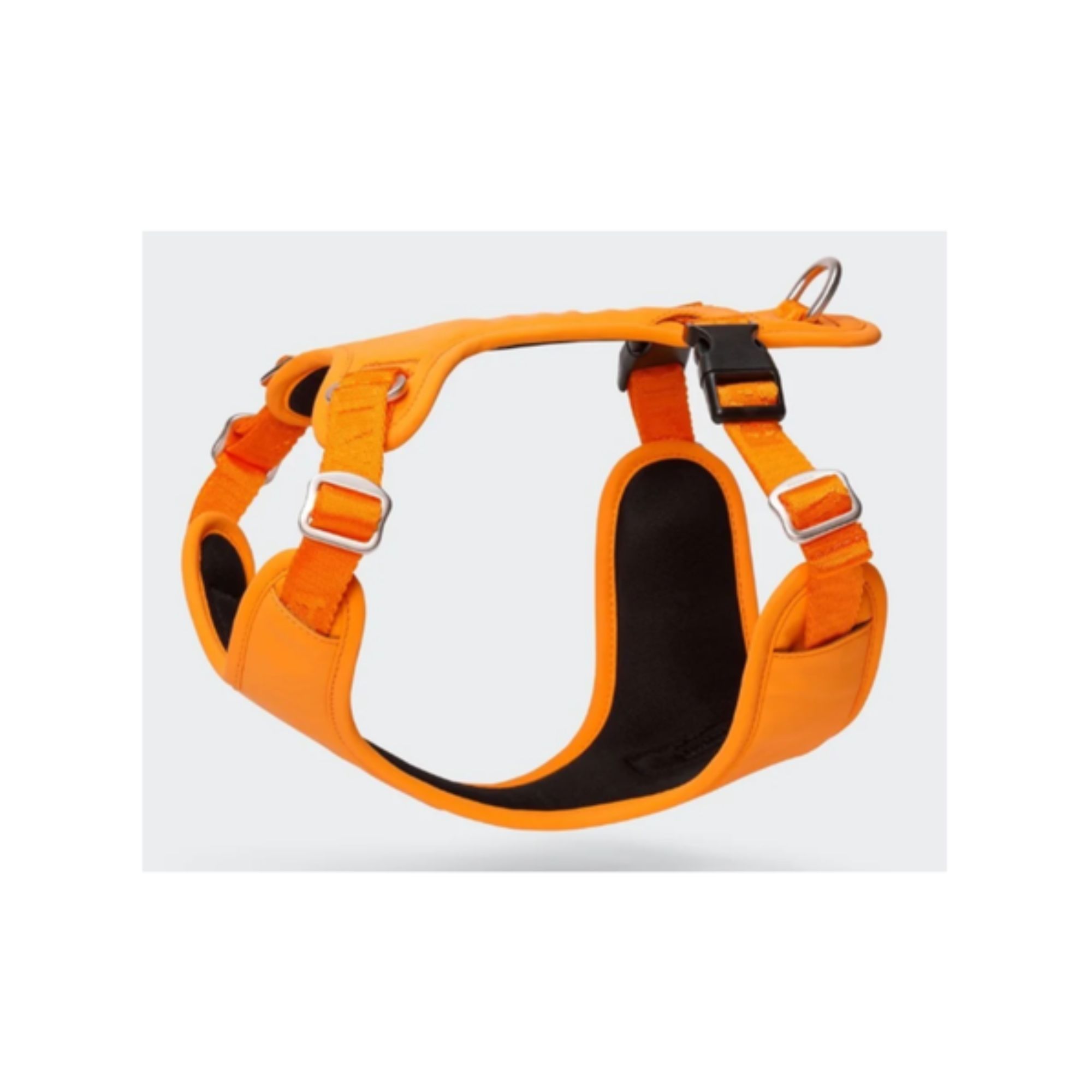 Paikka - Visibility Dog Harness