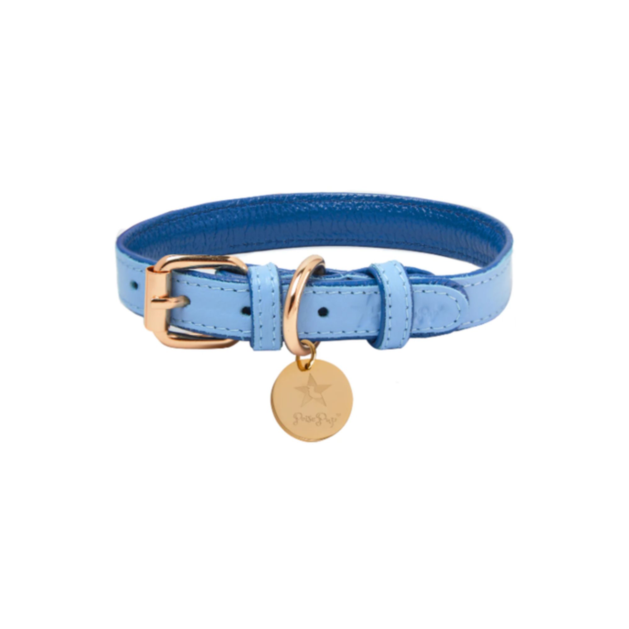PoisePup - Dog Collar - Ocean Vibes.jpg