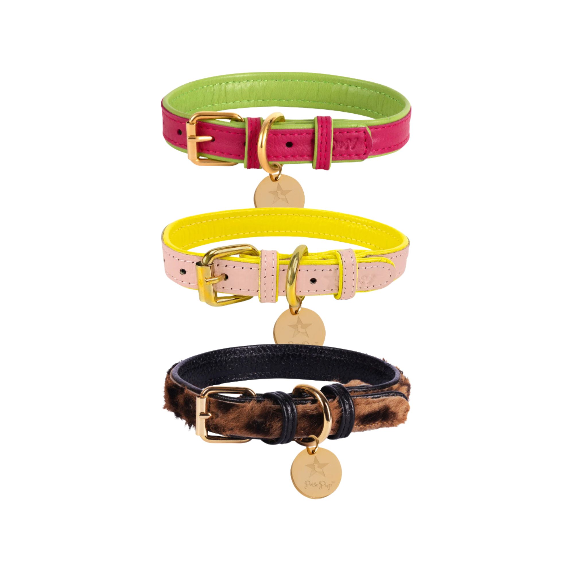 PoisePup - Dog Collar.jpg
