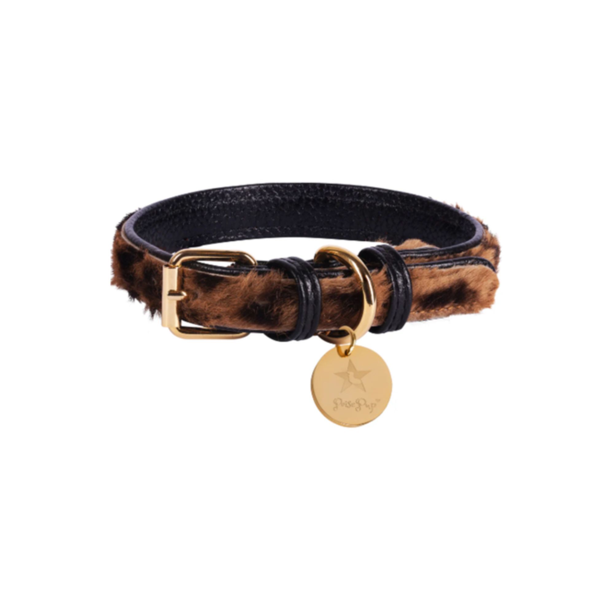 PoisePup - Dog Collar - Wildest One.jpg