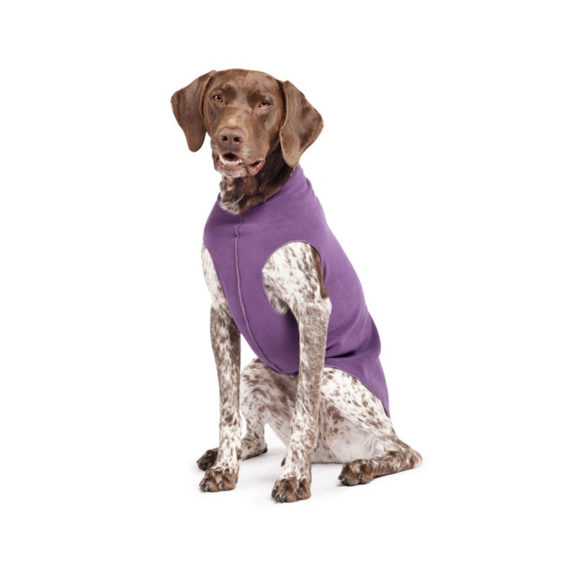Insulated dog fleece jacket in huckleberry color