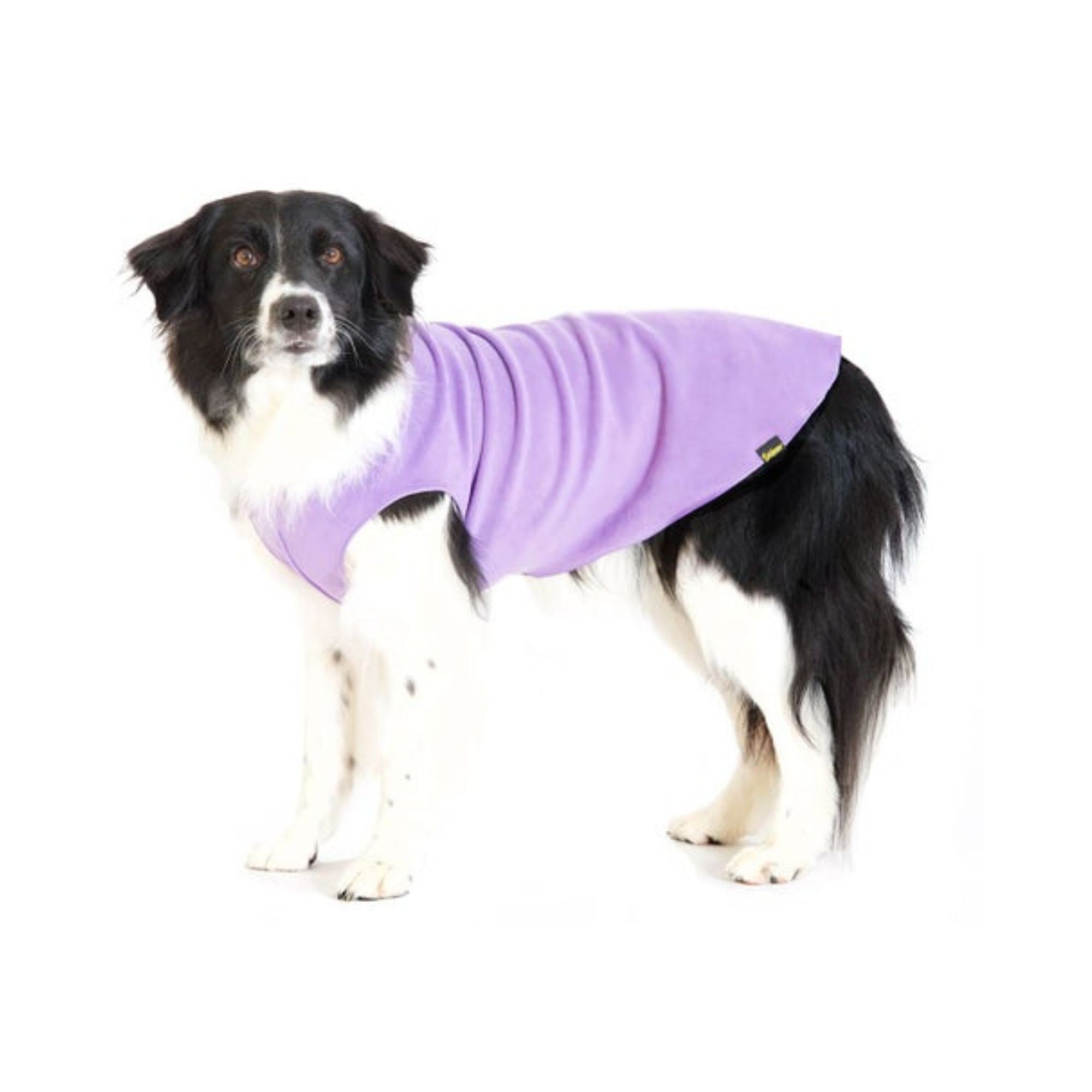 Insulated dog fleece jacket in lavender color