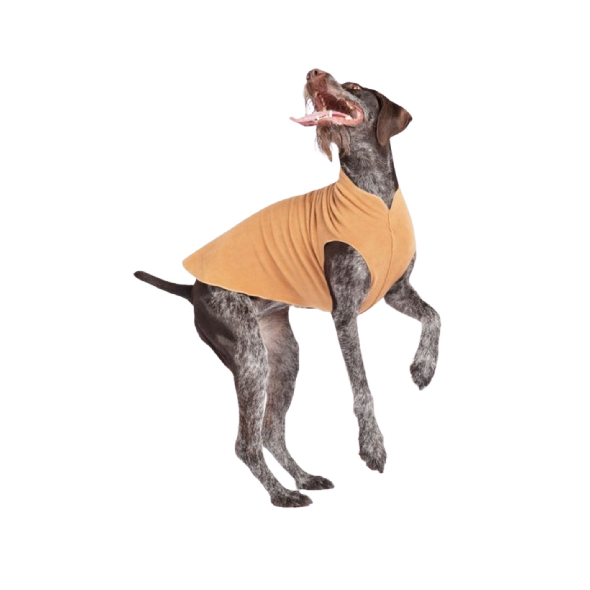 Insulated chipmunk dog fleece jacket
