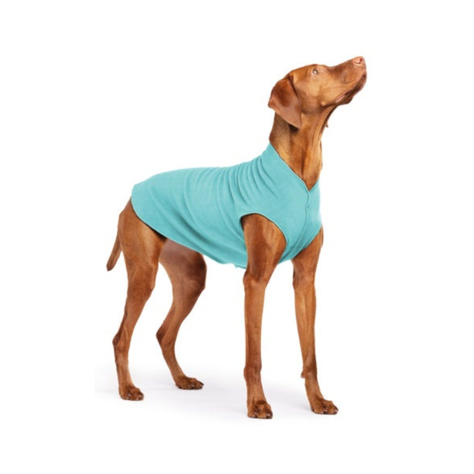 Insulated dog fleece jacket in turquoise color