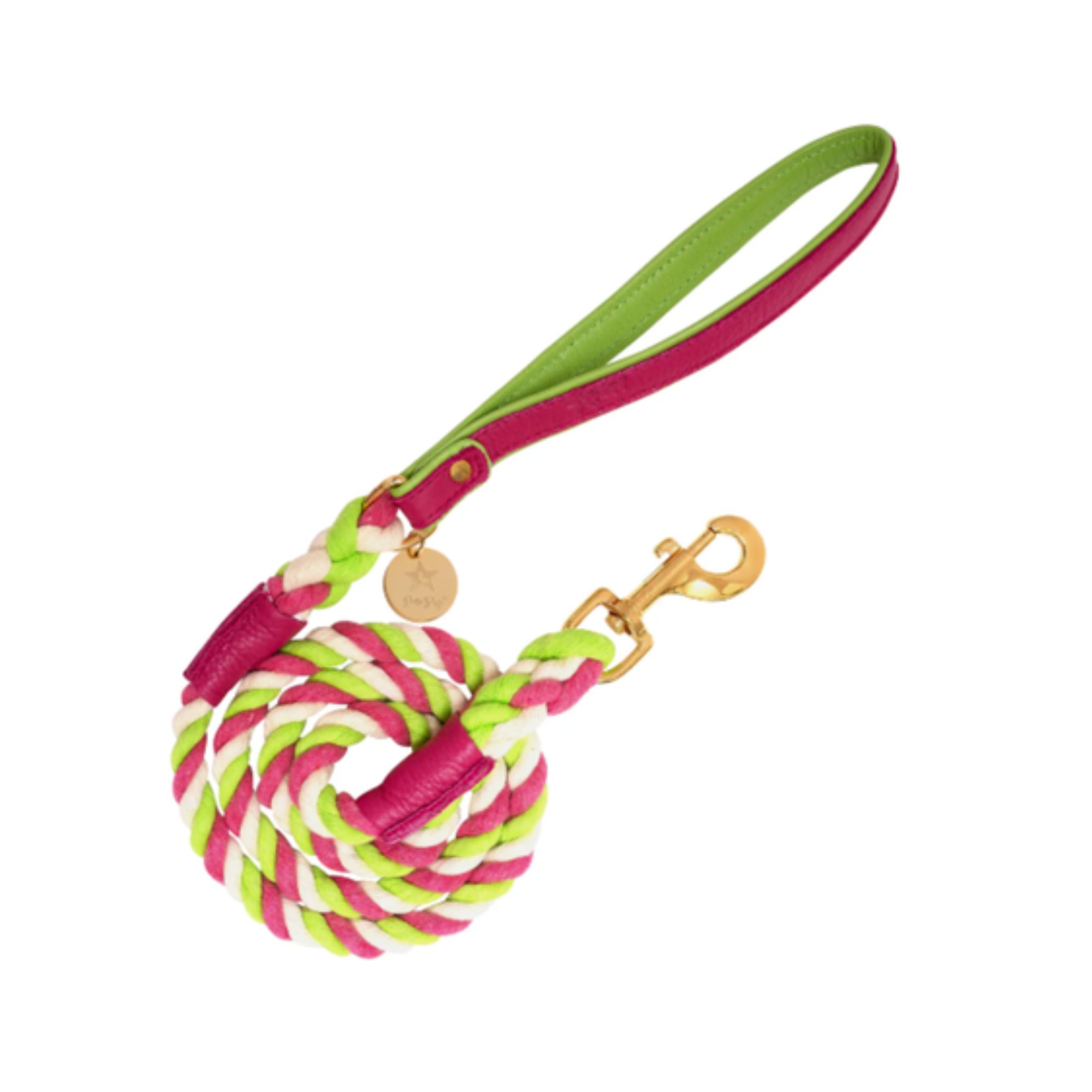 PoisePup - Dog Leash - Vibrant Sunset.jpg