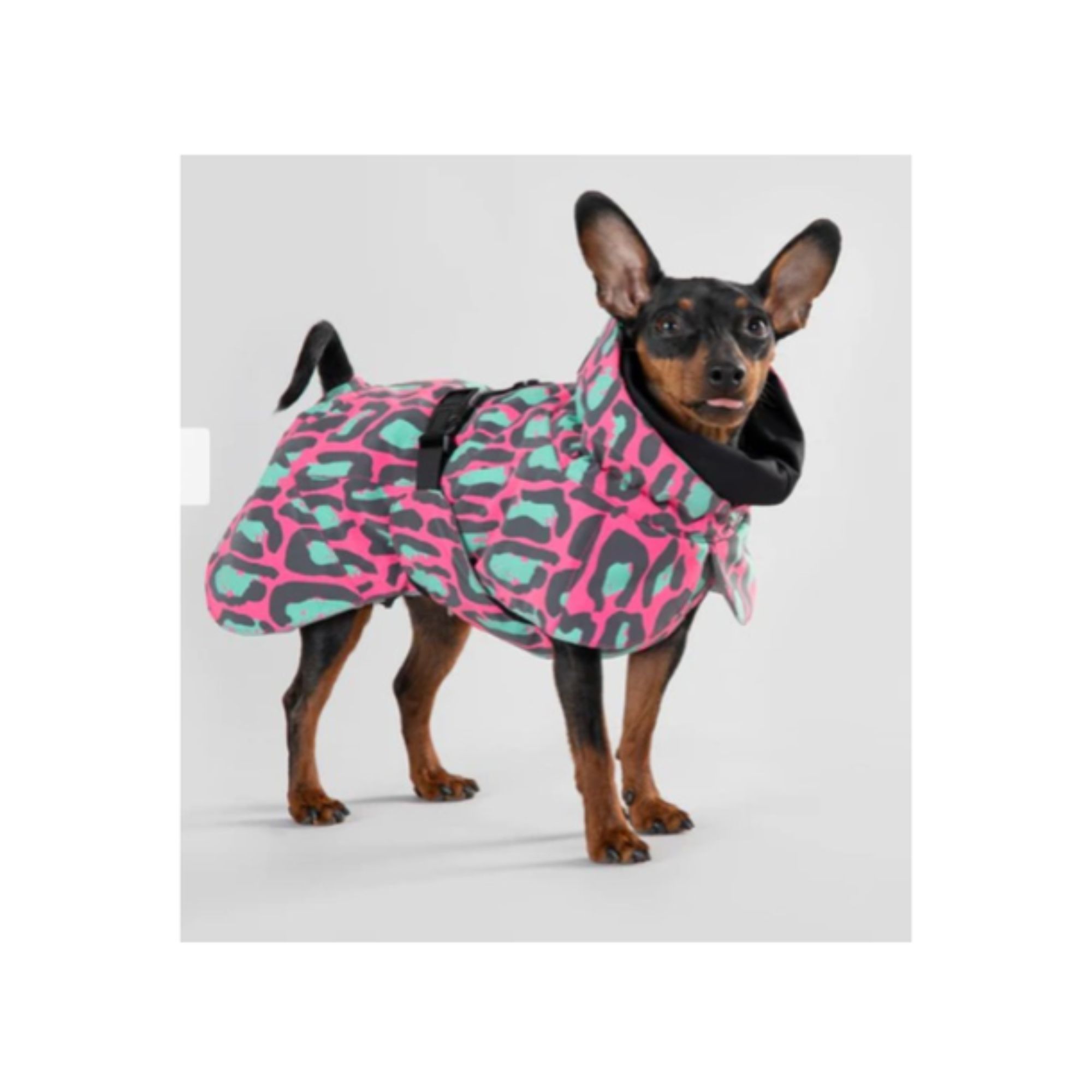 Paikka - Visibility Dog Winter Jacket - Jungle.jpg