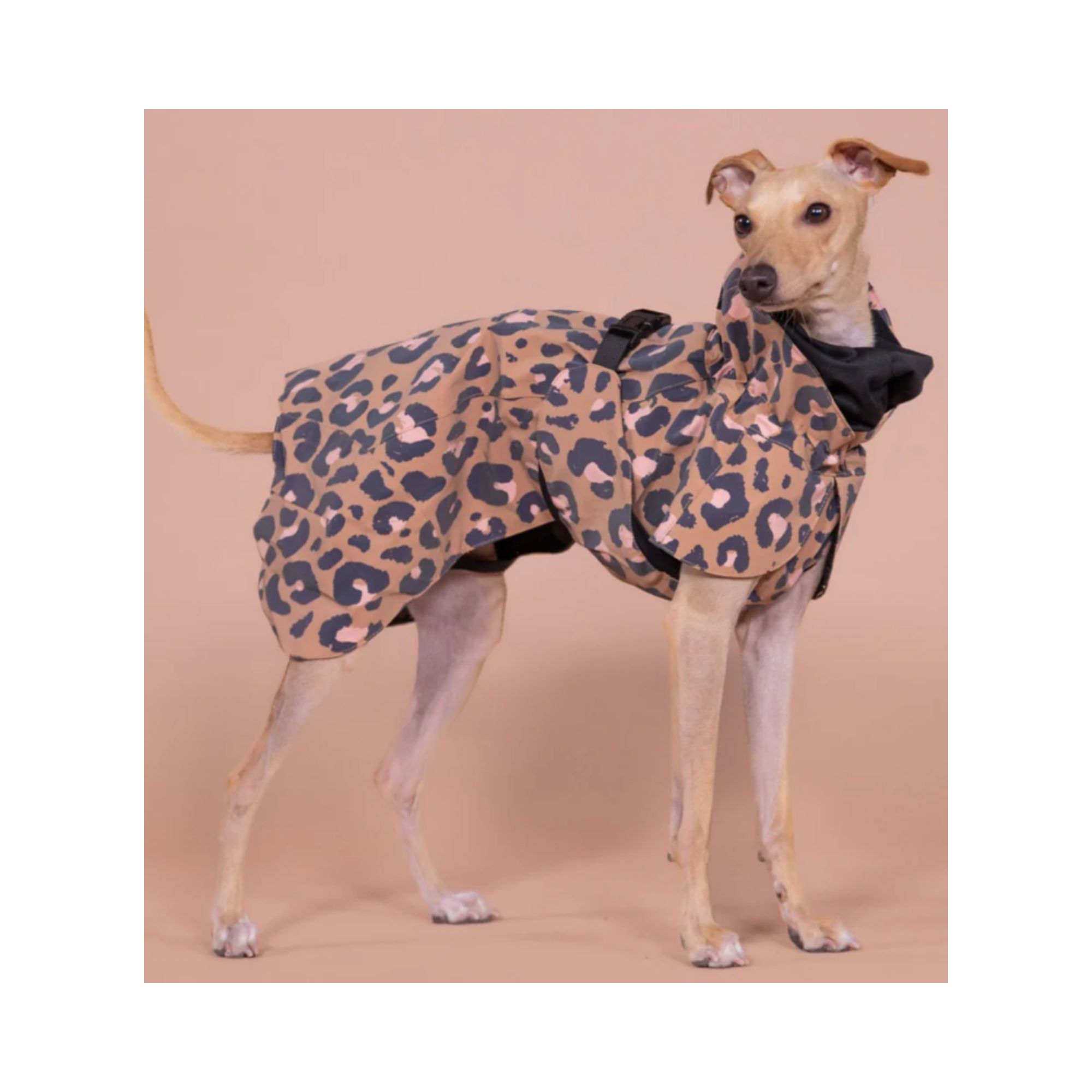 Paikka - Visibility Raincoat Lite for Dogs