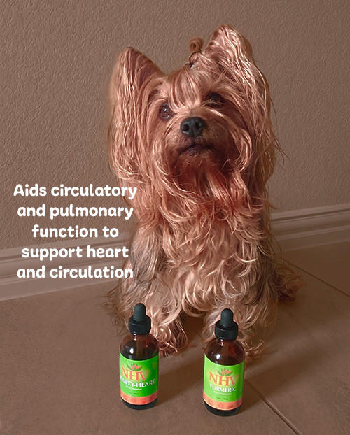 Cardiovascular Super Support Health Kit