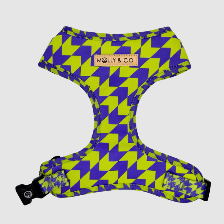Molly & Co Adjustable Dog Harness - Fetch Master