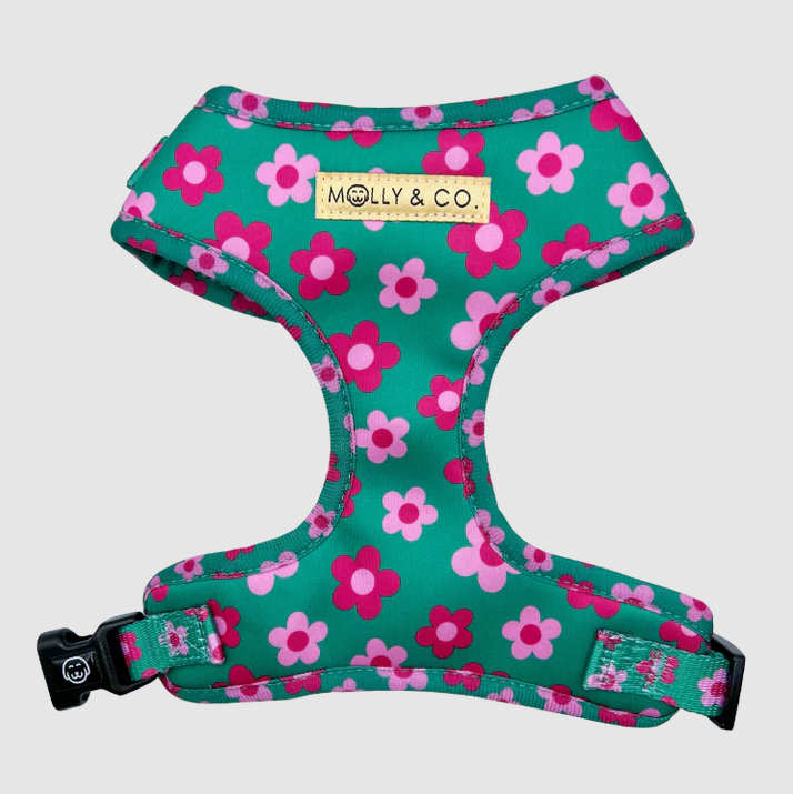 Molly & Co Adjustable Dog Harness - Petunia