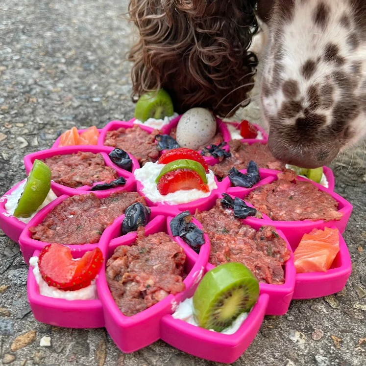 SodaPup Dog Toys - Mandala Design eTray Enrichment Slow Feeder Tray for Dogs - Pink (2).png
