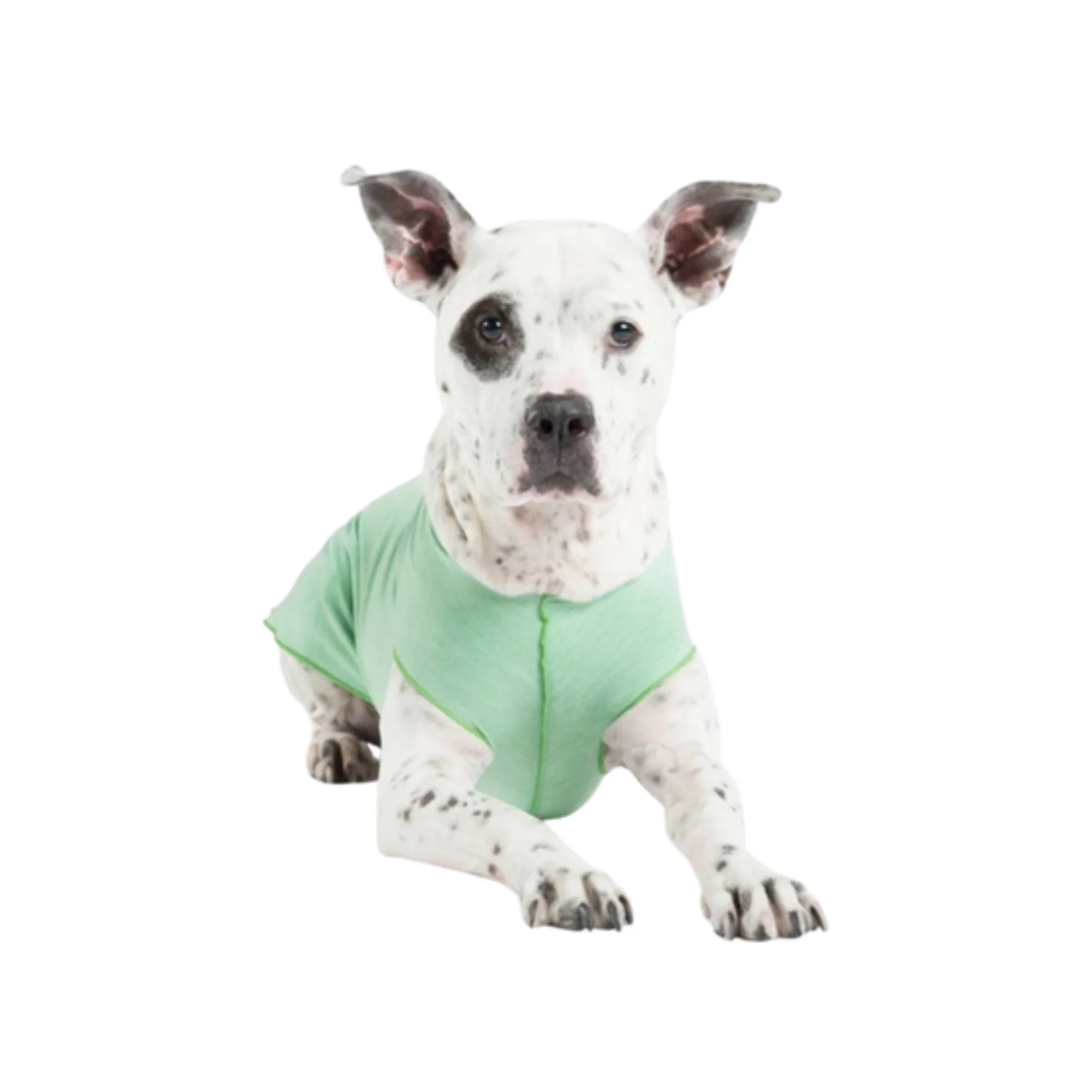 Goldpaw - Sun Shield Dog T-Shirt - Pistachio.jpg