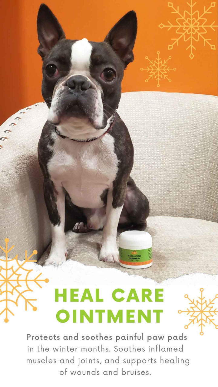 Heal Care Ointment for dogs