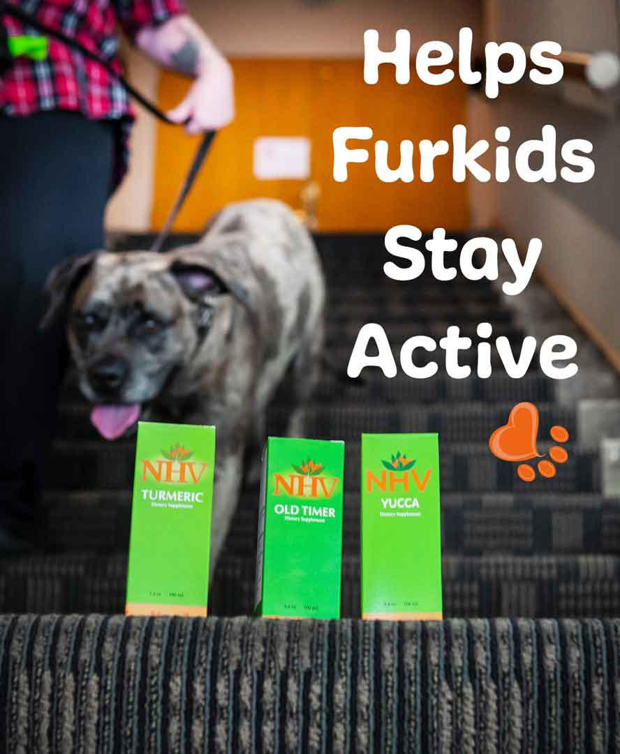 Hip Dysplasia Kit