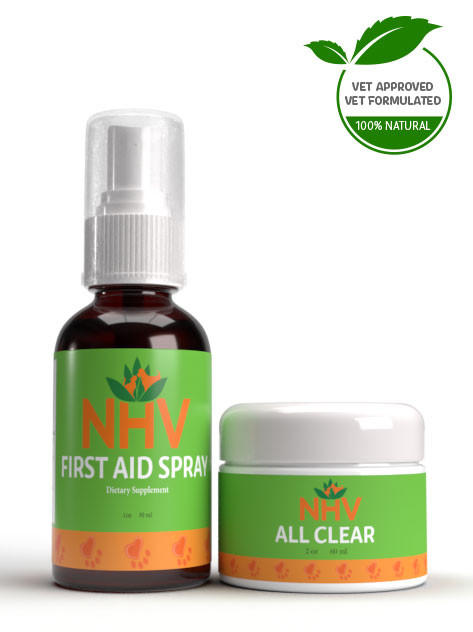 Natural Abscess Healing Kit