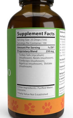 Natures Immuno For Cats
