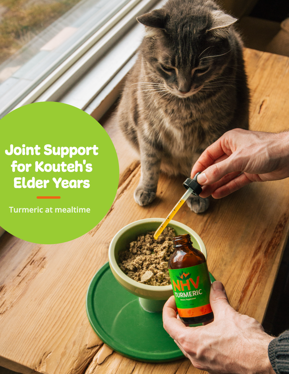 Kouteh, a senior cat, with an NHV joint-support supplement and the caption "Kouteh: Joint Support for His Elder Years"