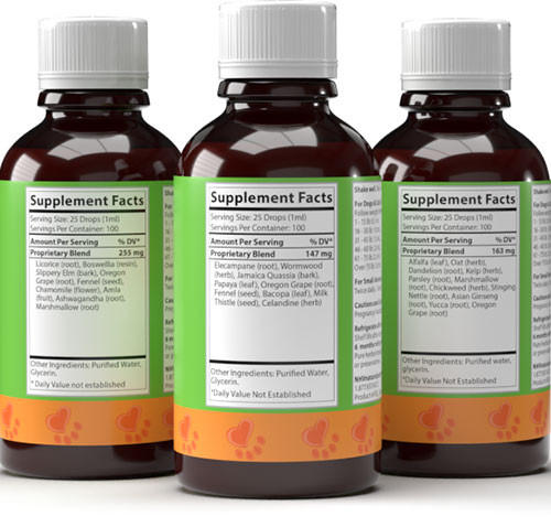 Worm and Parasite Super Recovery Kit