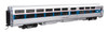 Walthers Proto 920-11315 - 85' Viewliner I Sleeper Amtrak (AMTK) Phase VI Early #62010 Forest View - HO Scale