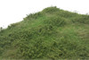Lars op't Hof 17.19M - Wilde verge spring (8 3/8" x 16 ½" sheet)  - Multi Scale