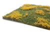 Lars op't Hof 12.24S - Meadow with marsh-marigolds (8 ¼" x 8 3/8" sheet)  - Multi Scale