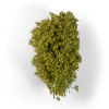 AK Interactive 8236 - Spring Filigree Bushes  - Multi Scale