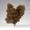 AK Interactive 8239 - Late Fall Filigree Bushes  - Multi Scale
