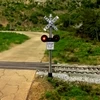 Dwarvin DVIRRXK202 - Scale Crossing Flasher Kit w/o Power Supply  - N Scale
