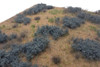Lars op't Hof 19.46L - Desert with sagebrushes - type 2 (16 ½" x 22 7/8" sheet)  - Multi Scale