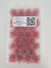 Jackson Railcar S1007 - Flower Tufts Fuschia (32pck)  - Multi Scale
