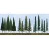 JTT 592118 - Bulk Evergreen Trees 2.5"-6", 90pcs, N to HO    - Multi Scale