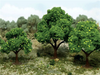 JTT 92137 - Super Scenic Trees: Lemon Trees 2.5 - 3.5" - 6pcs - Multi Scale