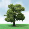 JTT 592310 - Pro-Elite Trees: Sycamore 3.5 - 4" - 2pcs    - HO Scale