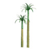 JTT 596010 - Professional Trees: Royal Palm 6" - 1pcs    - O Scale